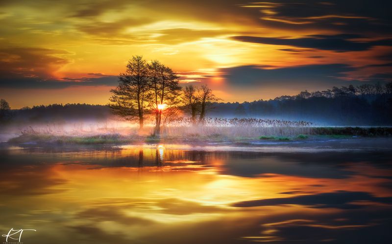 sunrise, golden dawn, fog, river, Gwda, landscape, nature, tree, atmosphere, reflection, sun, sky, clouds, sunlight, forest photo preview
