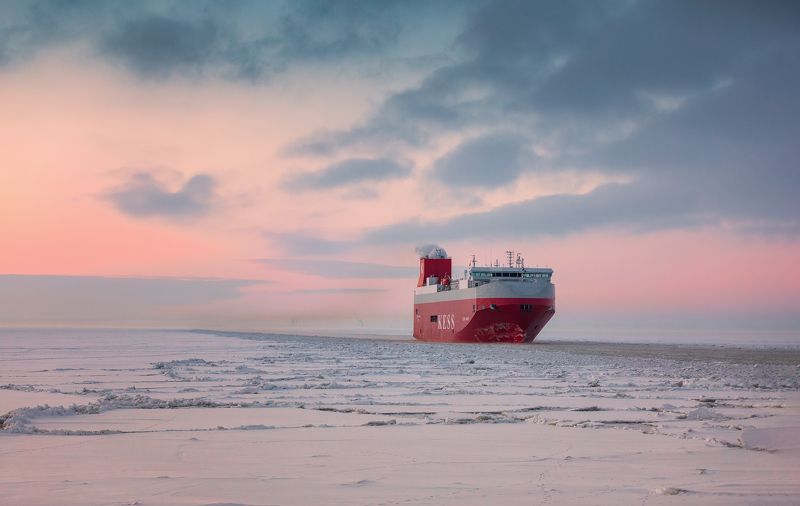 Автомобилевоз Автомобилевоз фото превью