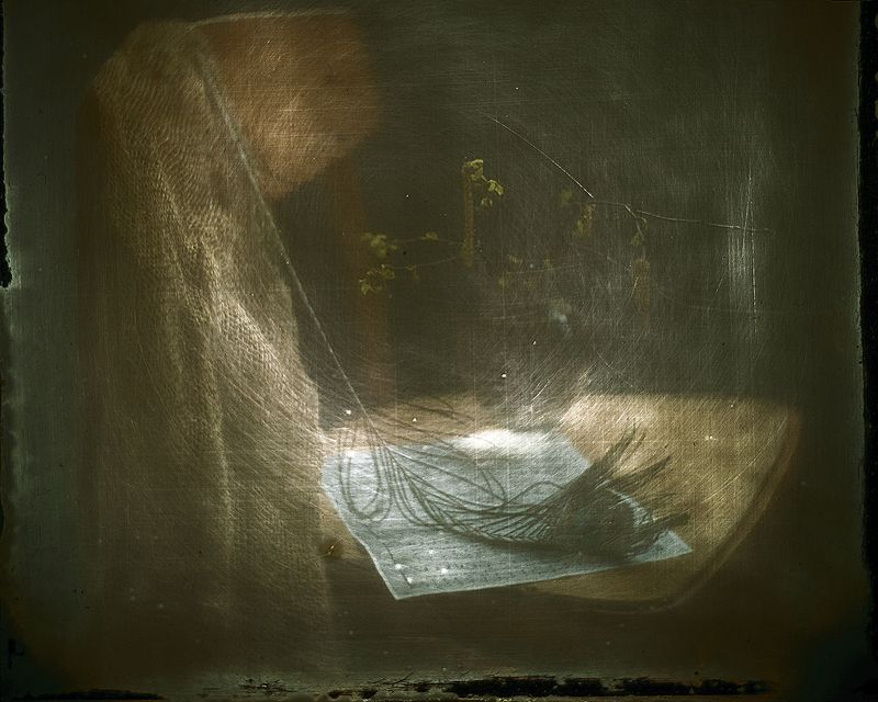 Весны несмелое звучание...и смелые ее шаги...photo preview