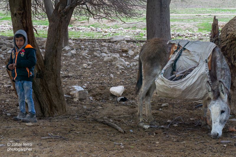 The Bedouin Child Projectphoto preview