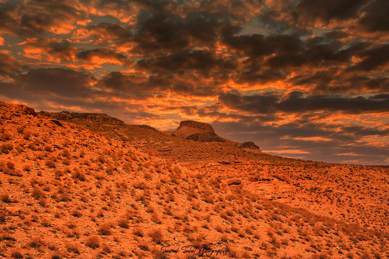 Golden Timephoto preview