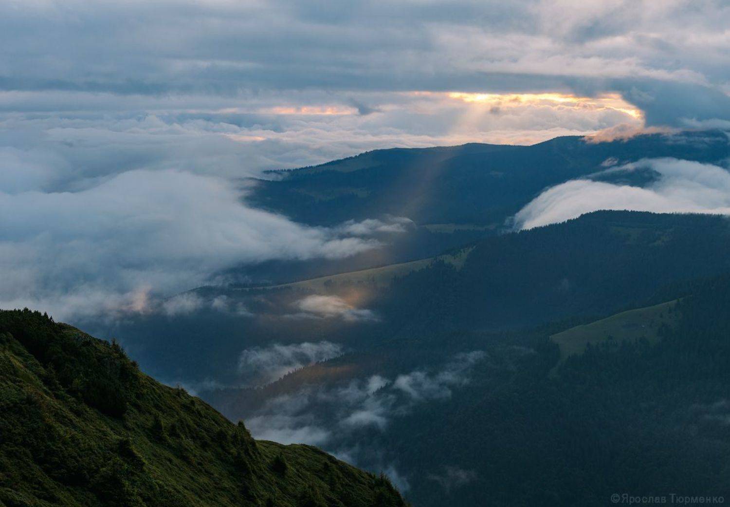 , Ярослав Тюрменко (Jaremi)