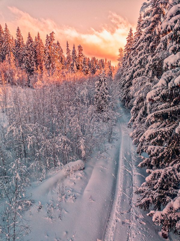 Вечер.photo preview