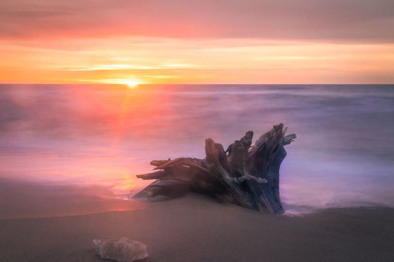 закат, море, дерево, песок, пляж, латвия, saulkrasti Прекрасный закат в Балтийском море, город Saulkrastiphoto preview