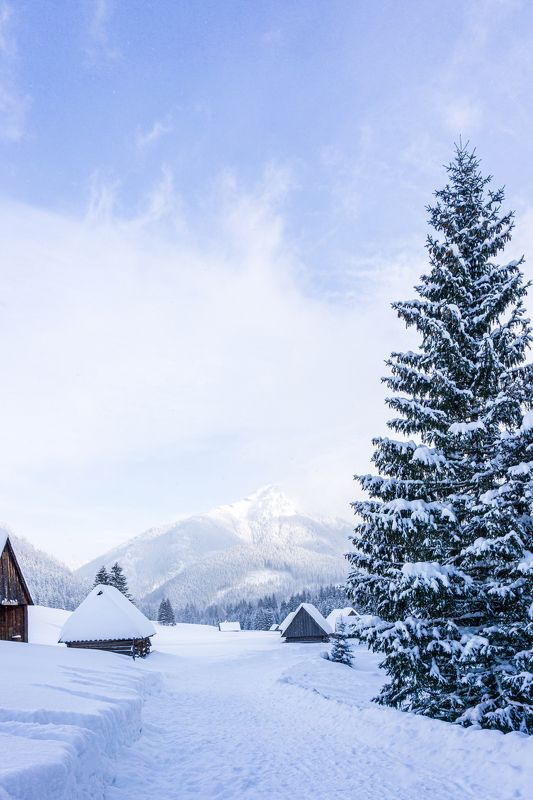 tatry, tatra, tatras, chochołowska, chocholowska, chochołów, chocholow, hala, dolina, valley, poland, polska, staw, pond, water, ice, mountain, forest, cold, winter, sun Snowy valleyphoto preview