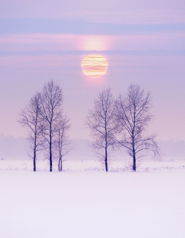 Морозный закатphoto preview