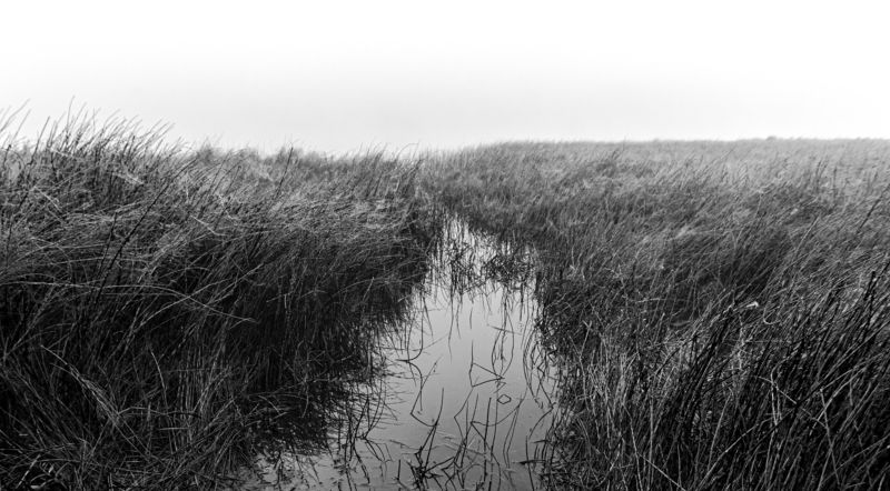 черно-белый пейзаж Озеро-водонакопитель руч. Озерное 4photo preview