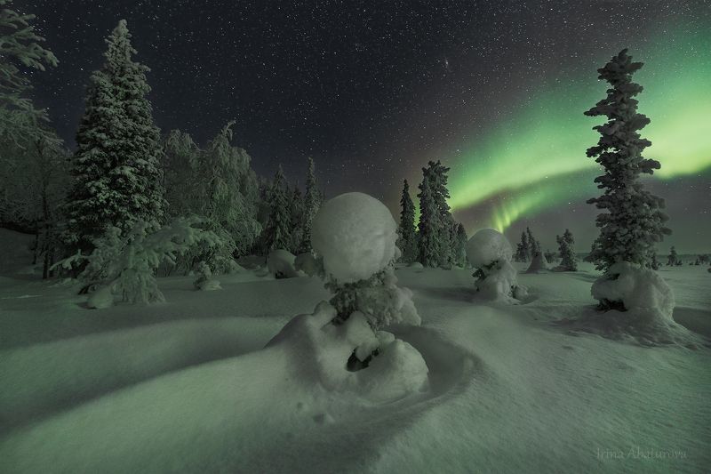 зима, кольский, север, снег, сугроб, деревья, северное сияние, аврора Да будет свет!photo preview