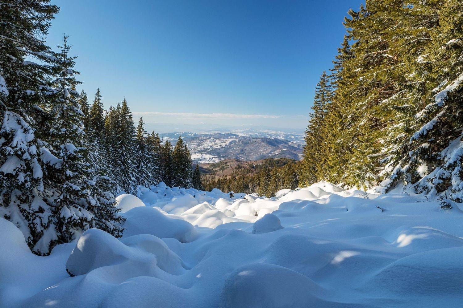 , Александър Сандев