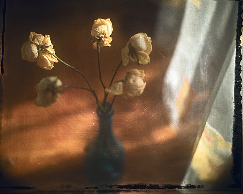 Лучики весны...photo preview