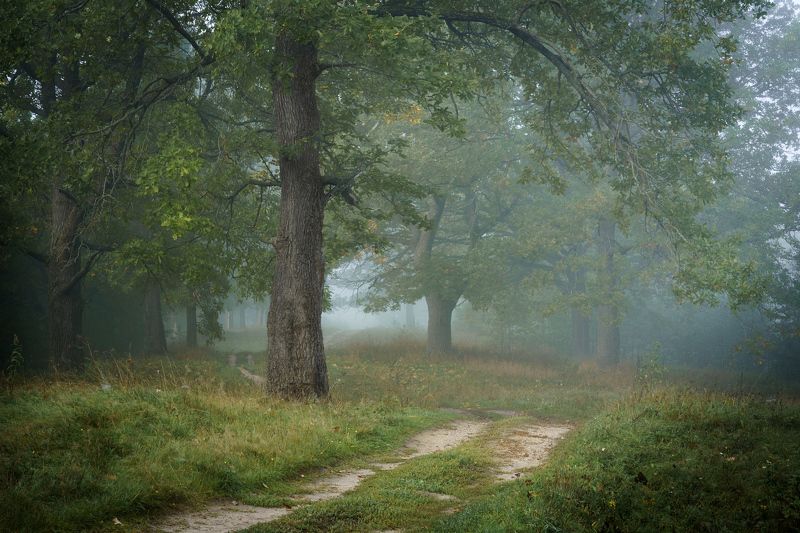 Тайный путьphoto preview