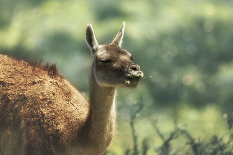 Happy Valentine\'s Day!photo preview