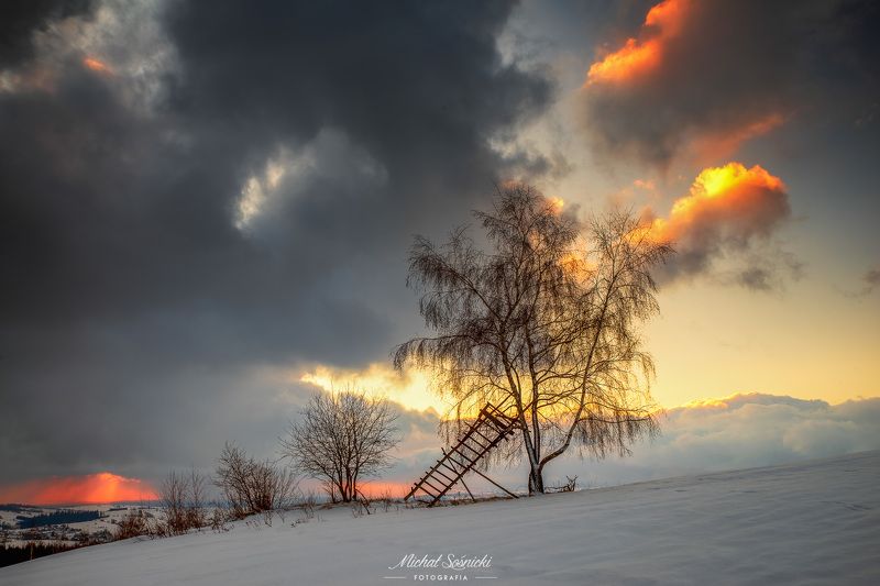 #poland #pentax #benro #lightroom #nikcollection #nature #sunrise #mountains #sky #fog #foggy #morning #pix #trees #sun #forest Stairway to heaven...photo preview