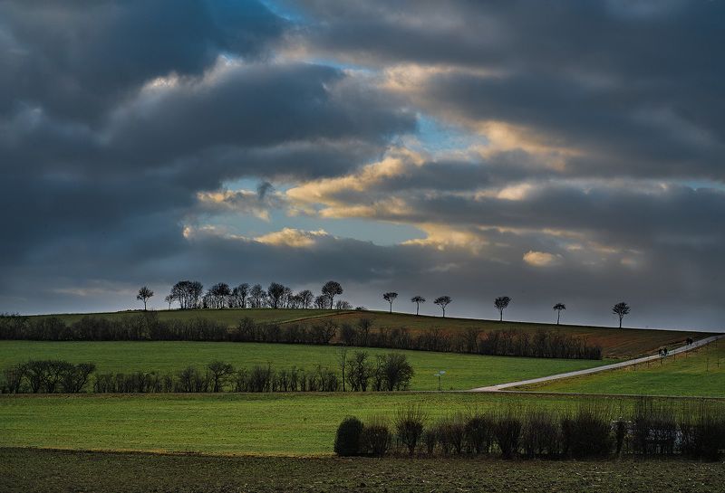 sky, landscape, field, nature, grass, green, clouds, cloud, meadow, summer, blue, storm, sun, rural, tree, agriculture, sunset, spring, horizon, weather, land, country, farm, countryside, sunlight storm clouds over the fieldphoto preview