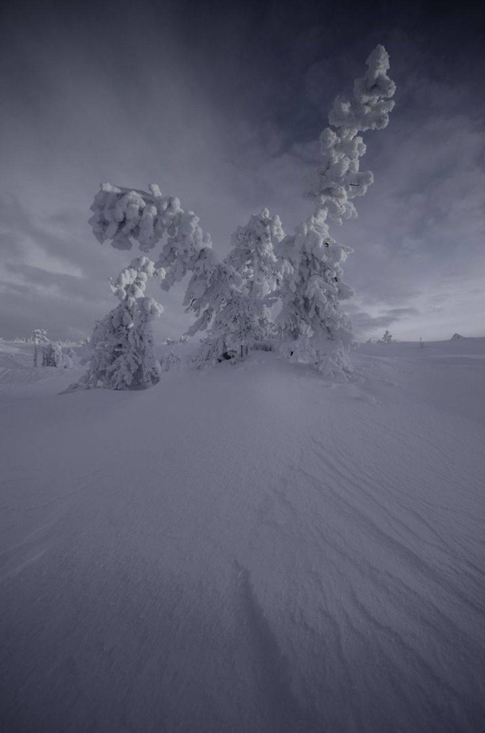 , Абрамов Денис