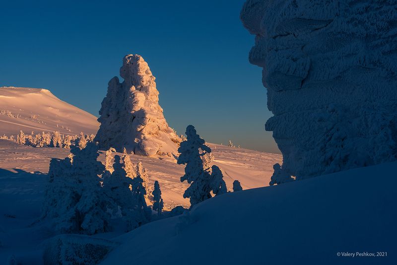 красочный, рассвет, скалы верблюды, кедры, пихты, снег, иней, сугробы, зима, гора курган, шерегеш, горная шория Знакомство с «Верблюдами» фото превью
