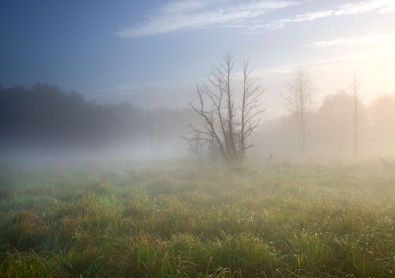 morning moods ...photo preview