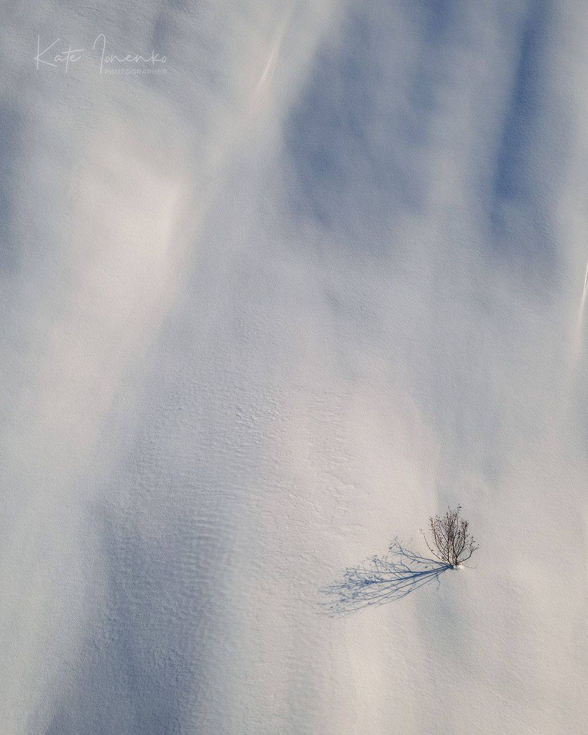 , Екатерина Ионенко