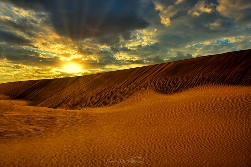 Golden Timephoto preview