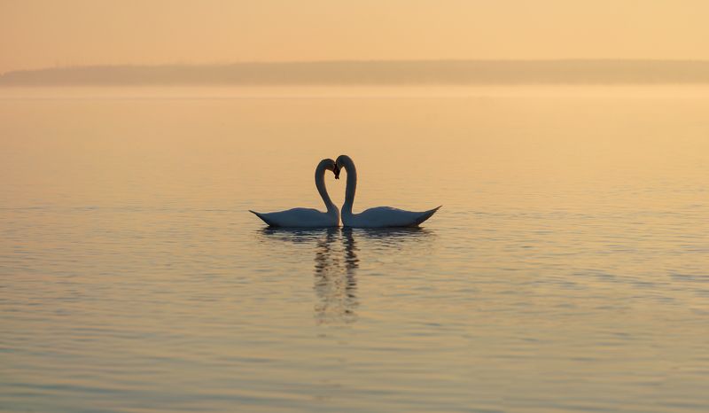 р а с с в е т...photo preview