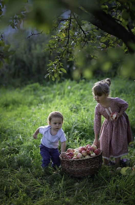 Яблочная историяphoto preview