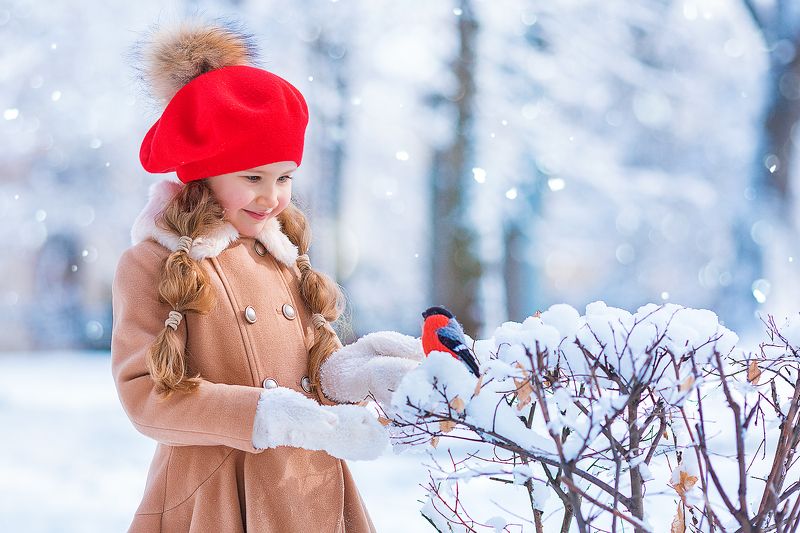 Зимний друг!photo preview