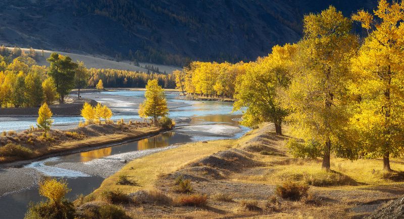 алтай Осень на реке Чуяphoto preview