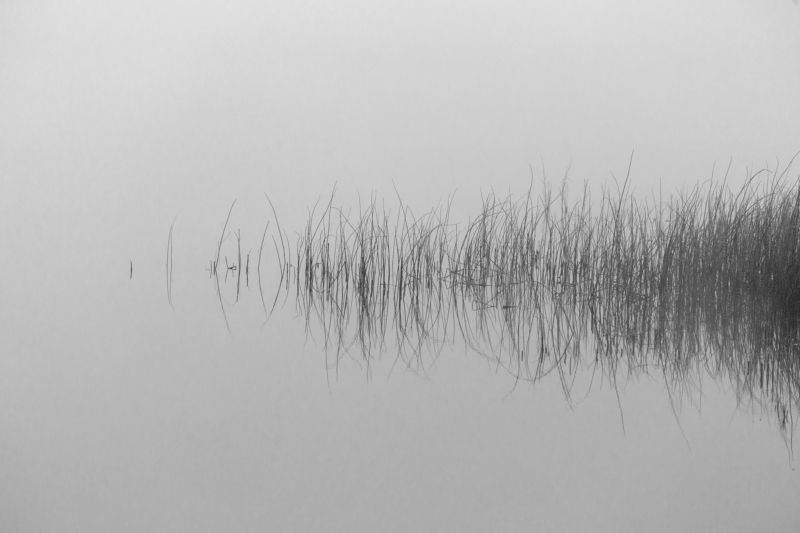 черно-белый пейзаж Озеро-водонакопитель руч. Озерное 2photo preview