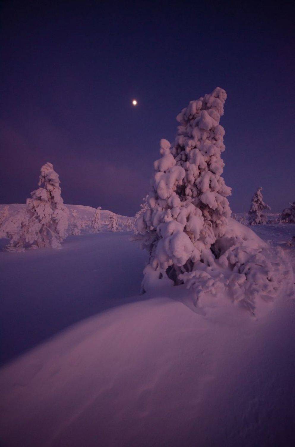 , Абрамов Денис