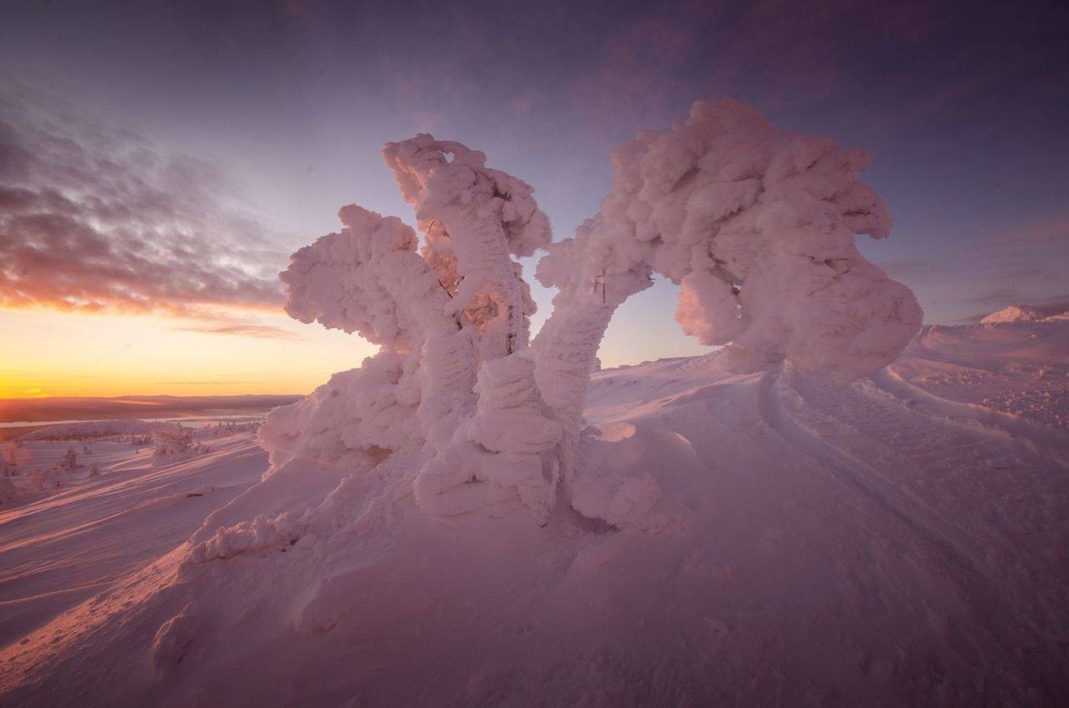 , Абрамов Денис