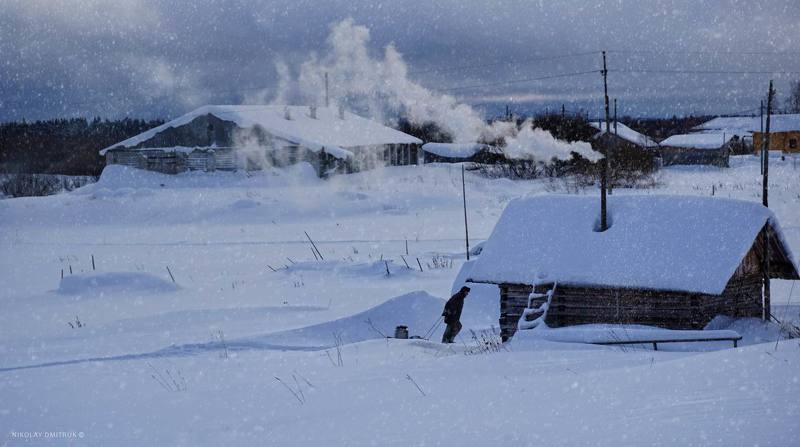 натюрморт 	 суббота. баня. Ломоносово. 2022photo preview