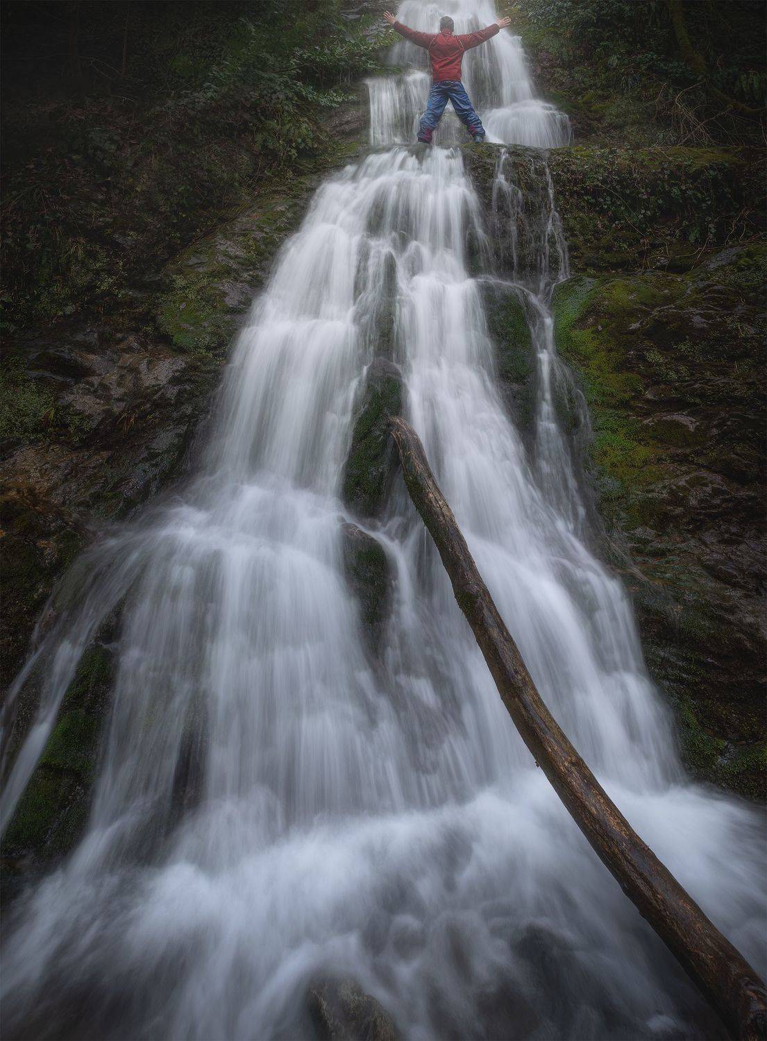 , Чешко Алексей