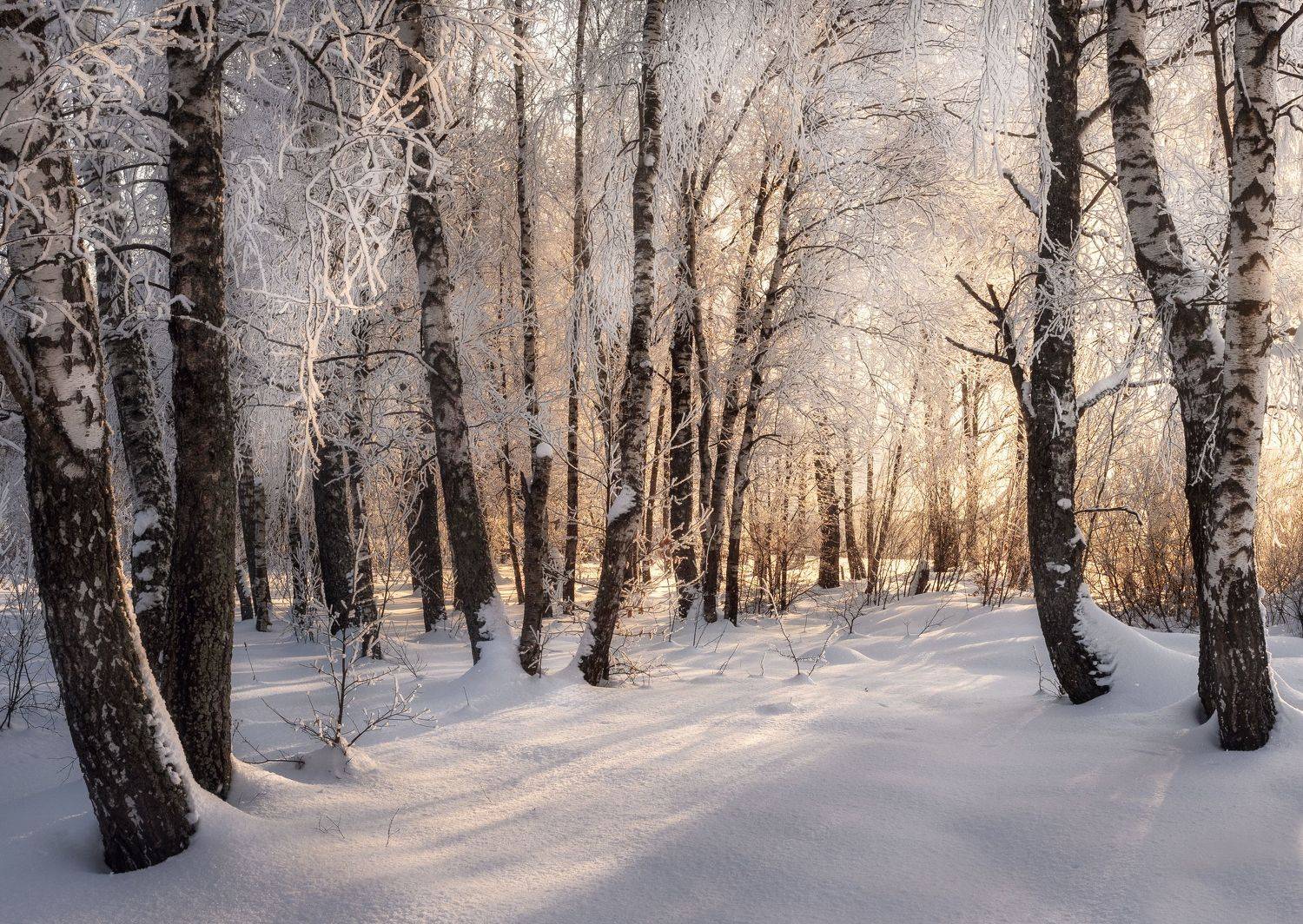 , Мозжухин Максим