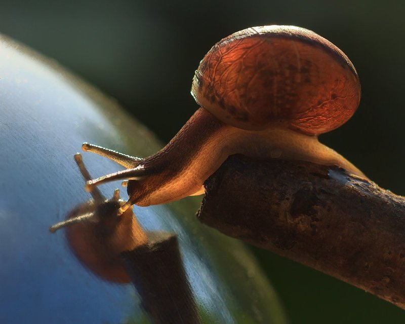 Свет мой зеркальце скажиphoto preview