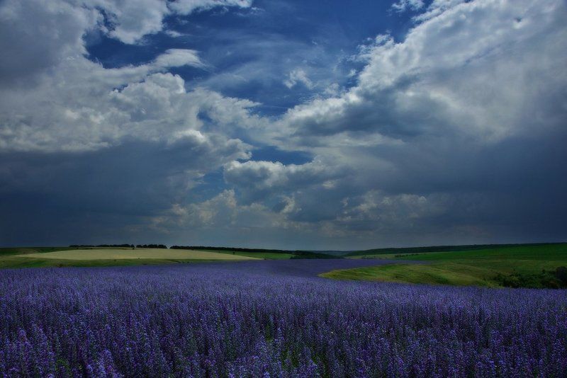 К светуphoto preview