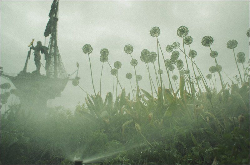 тарбеев, москва, петр, памятник, набережная, одуванчики, растения, туман, дождь Представление. Сырость и туман в Москвеphoto preview