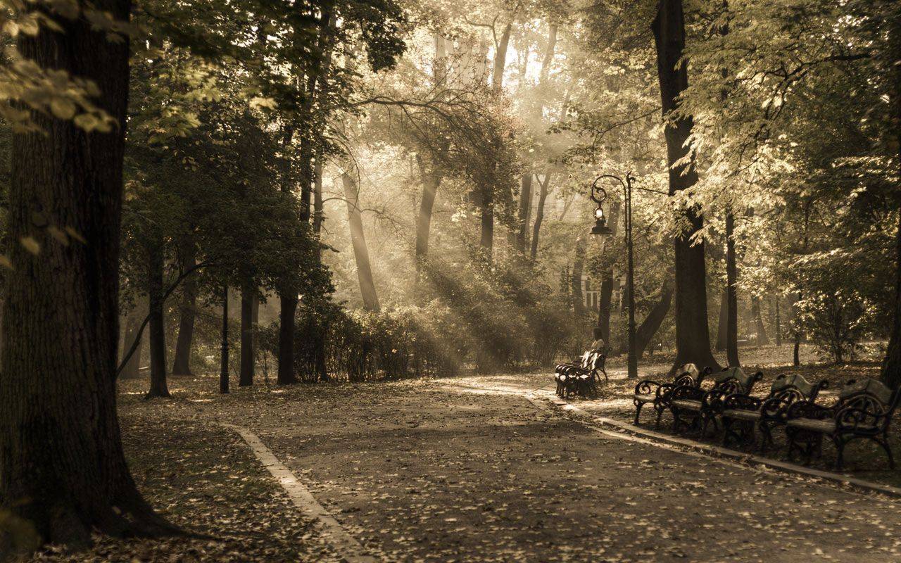 В парке. Автор: Aahz , Aahz