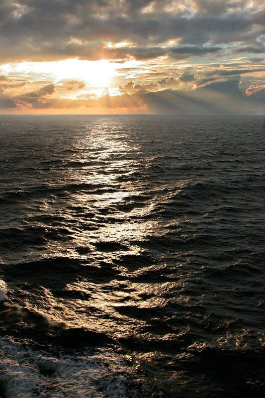 На море...photo preview