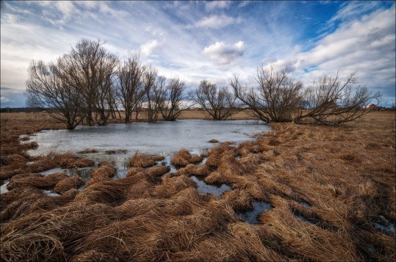 Кочки, Облака, Подмосковье, Пруд Немного весныphoto preview