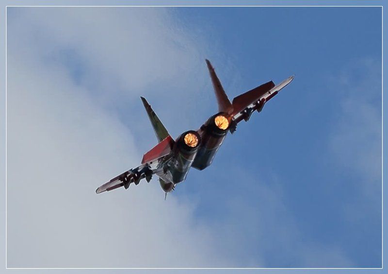 Стрижи Воскресенск Профи в небеphoto preview