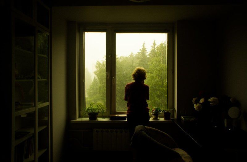 тарбеев, окно, дождь, силуэт, комната, цветы Дождьphoto preview