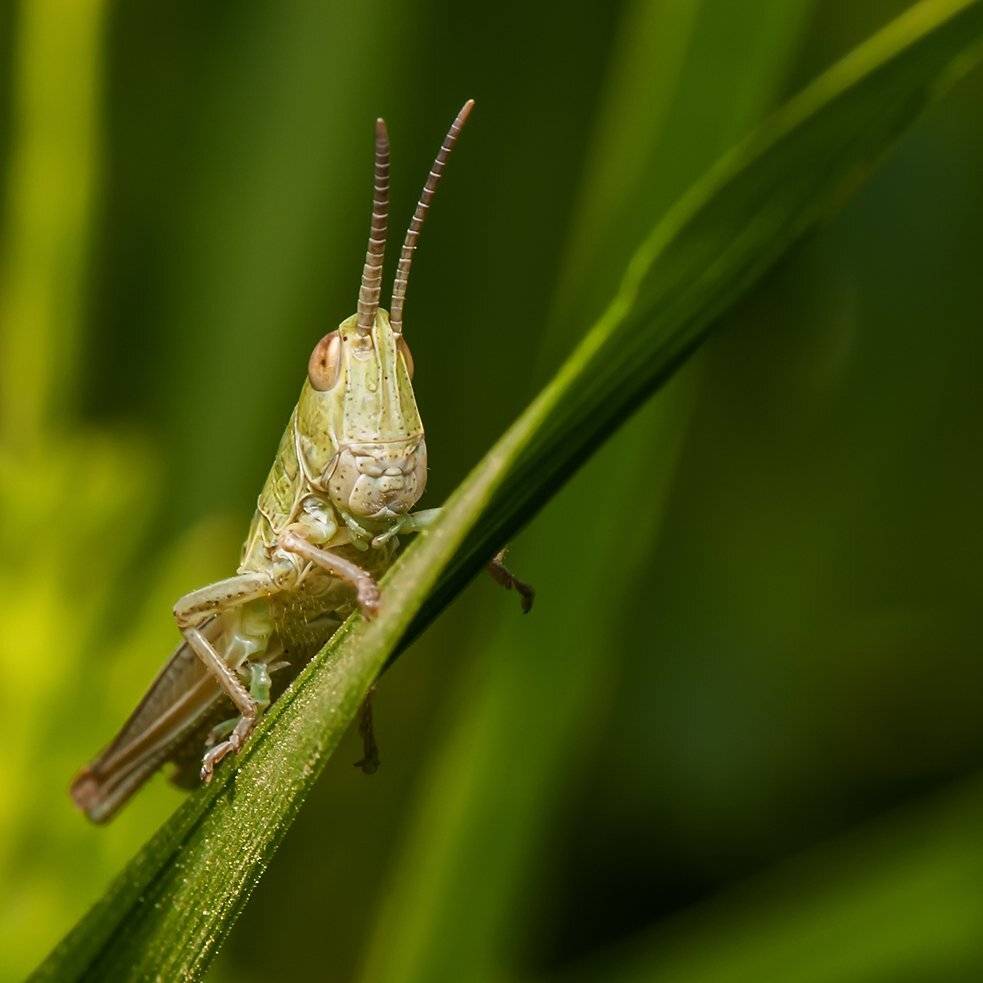 ***. Автор: Игорь , Игорь