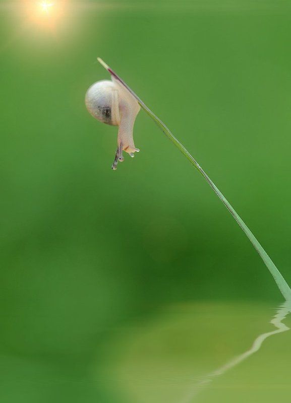 Рыбак...photo preview