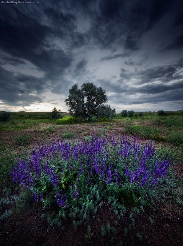 Пасмурный летний деньphoto preview