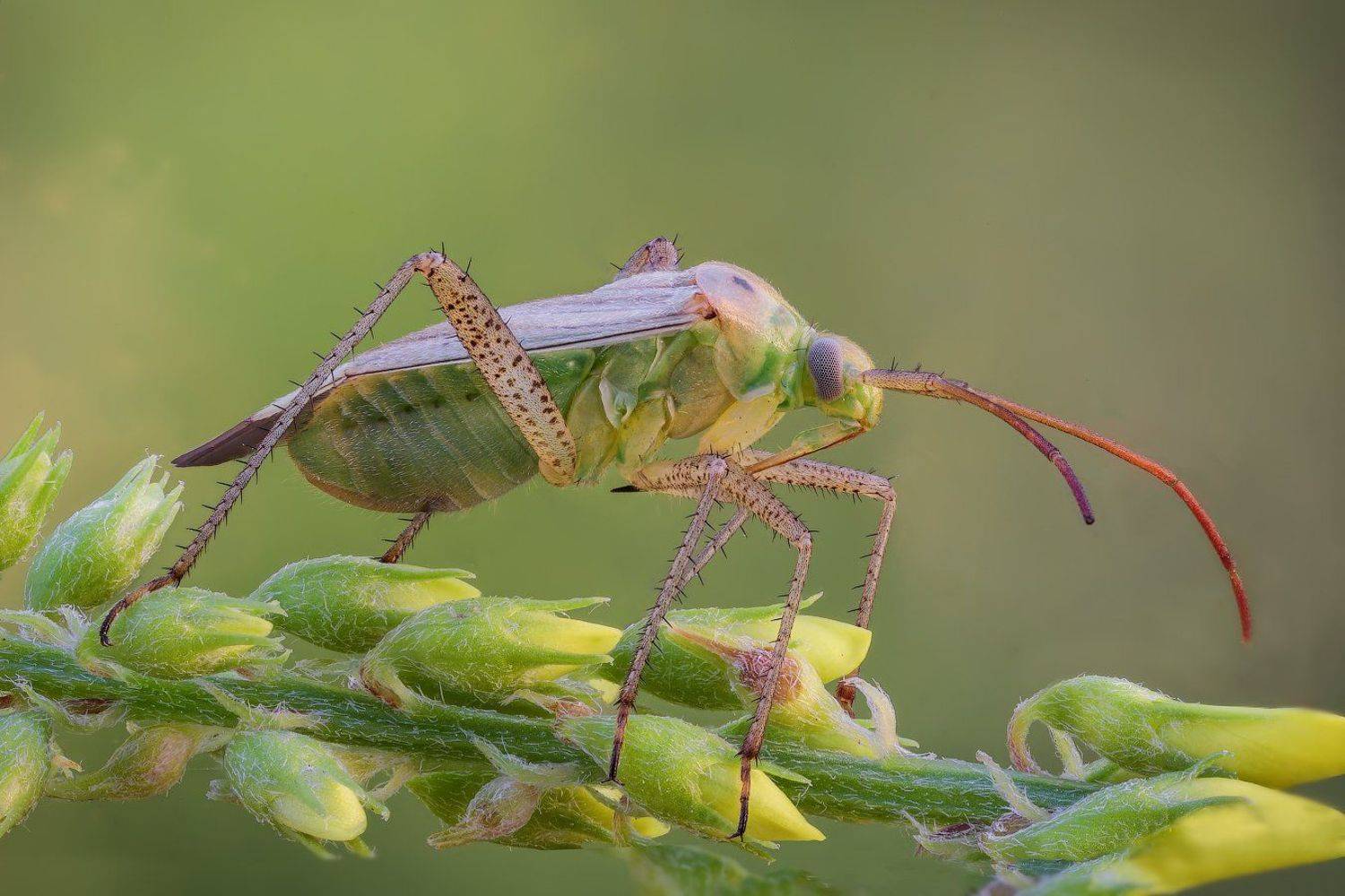 /----/. Автор: Вадим Ходаковский , Вадим Ходаковский