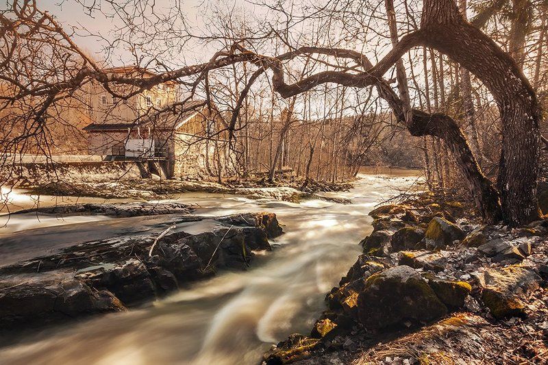 Siuntiophoto preview