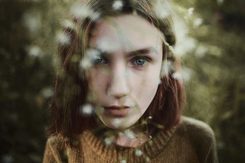 Крисphoto preview