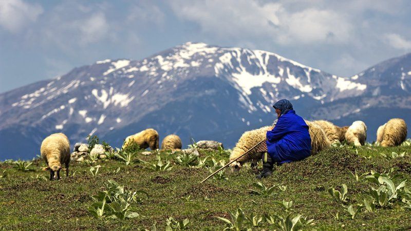 Пастушкаphoto preview