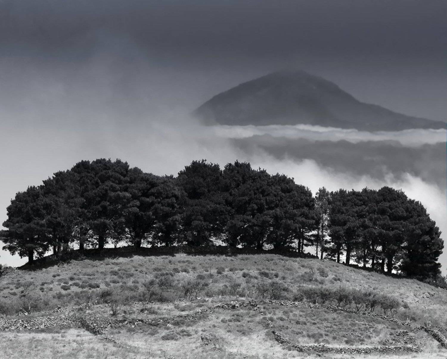 , Александр Константинов