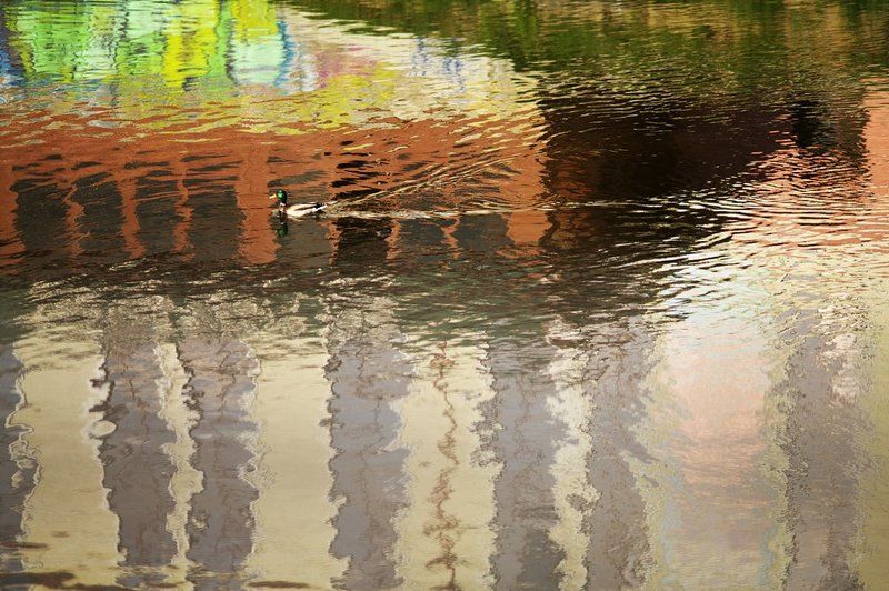 Путь одной уточкиphoto preview